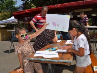 Festivalul Florilor (15)