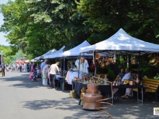 Festivalul Florilor (16)