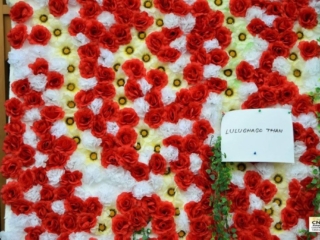 Festivalul Florilor (30)