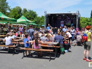 Festivalul Florilor (33)