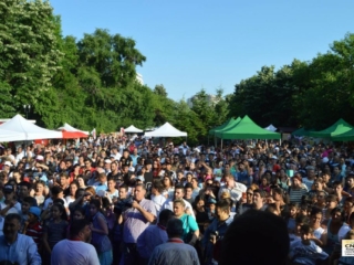 Festivalul Florilor (38)