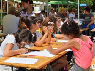 Festivalul Florilor (39)