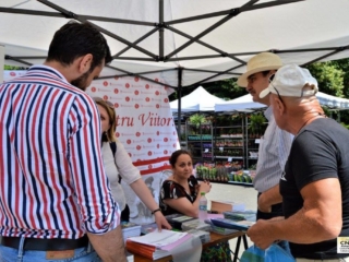 Festivalul Florilor (54)