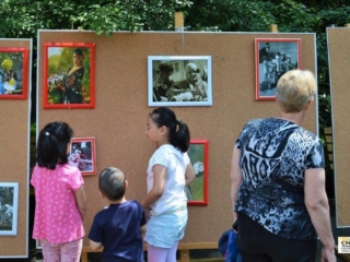 Festivalul Florilor (6)