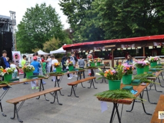 Festivalul Florilor (63)