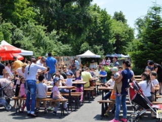 Festivalul Florilor (69)