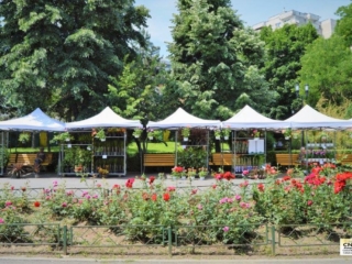 Festivalul Florilor (7)